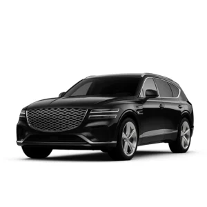 Genesis GV80 Tachojustierung