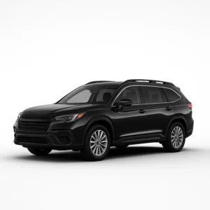 SUBARU Ascent Tachojustierung