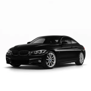BMW 4ER F32/F33/F36/F82/F83 Tachojustierung