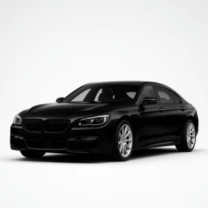 BMW 6ER F12/F13 Tachojustierung