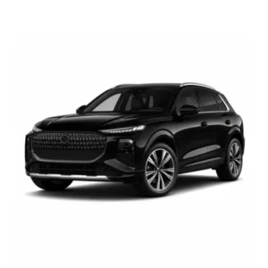 Audi Q3/SQ3 (3. GEN) Tachojustierung Product